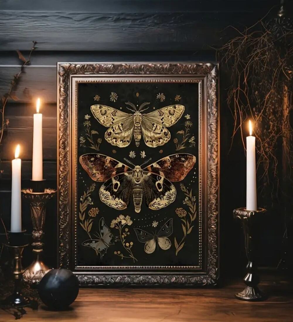Dark Academia Canvas Art Print 12×16 Moths Insect Goth Victorian Library Classic